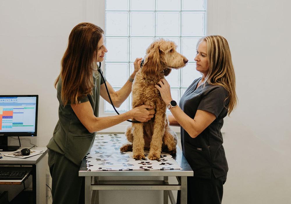 Aberdeen Veterinary Clinic West Geelong