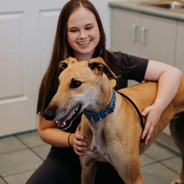 Georgia, Geelong Veterinary Nurse, Aberdeen Veterinary Clinic Geelong West