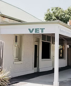 Melinatakesphotosxabderdeenvetclinic-61 1