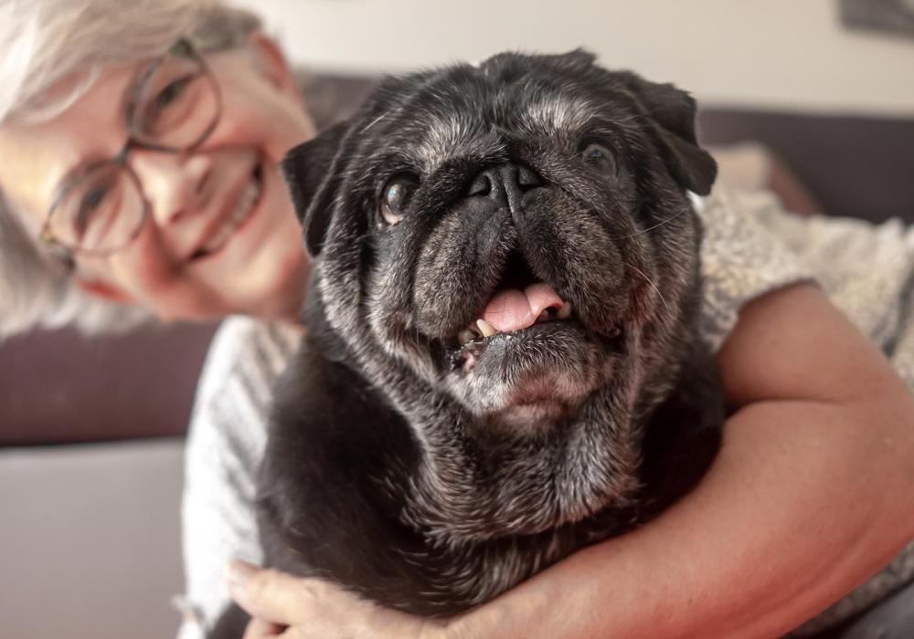 Pet health care Geelong